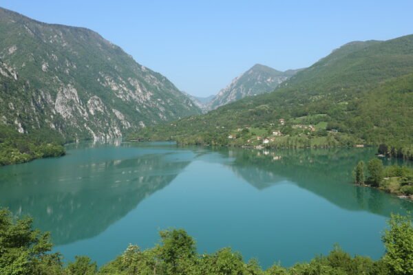 Divičko jezero – zaboravljeno utočište biljnog bogatstva